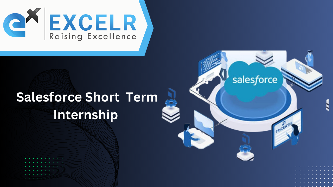 Salesforce Short Term Internship - ExcelR - LMS Portal